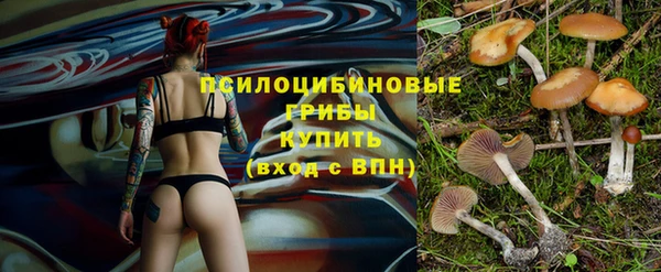 PSILOCYBIN Балабаново